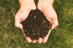 composting hands