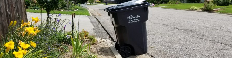 trash cart out for collection
